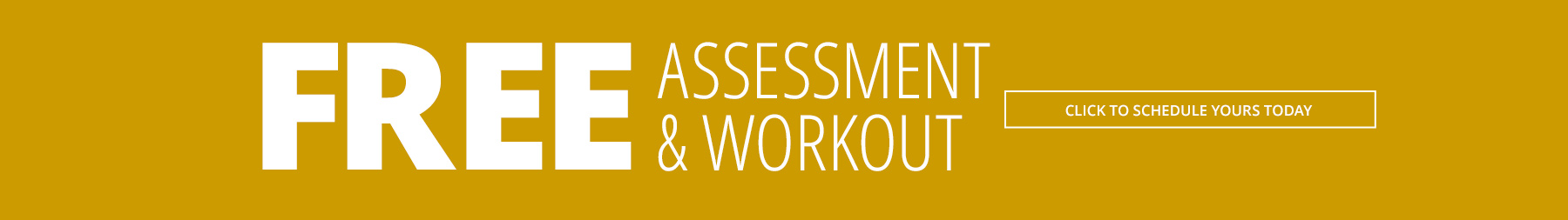 Free Assessment and Workout